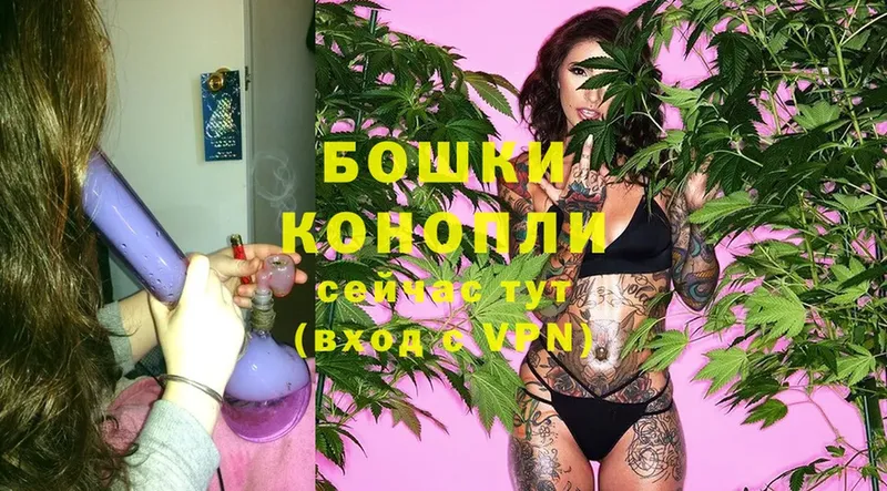 Бошки Шишки THC 21%  Североуральск 